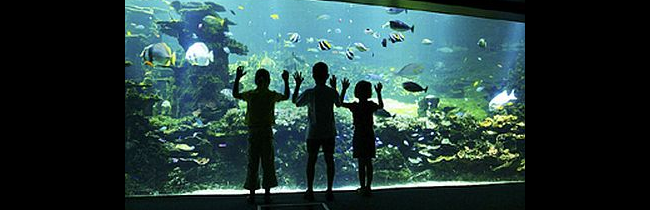 Nausicaa aquarium Boulogne sur mer